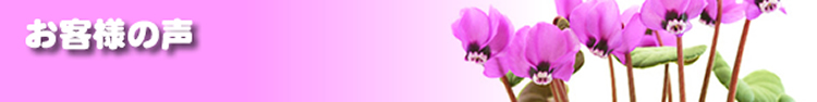 お客様の声