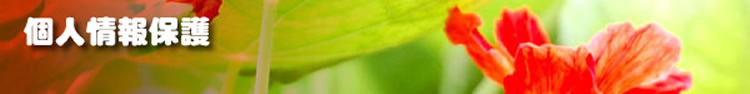 個人情報保護