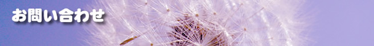 お問い合わせ