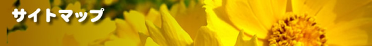 サイトマップ